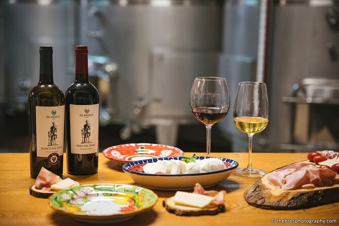 2-hour tasting of 5 wines in Sorrento - A Sorrento tasting that begins on the production floor