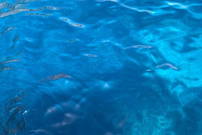 3-hour private boat tour of the island of Capri - Marina Piccola and the first chance to swim