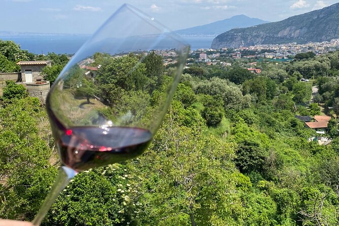 5 Wine Tastings with Typical Products in Sorrento Coast - The olive mill and oil tasting
