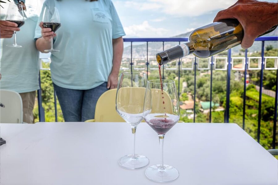 5 Wine Tastings with Typical Products in Sorrento Coast - Views, service, and the overall mood