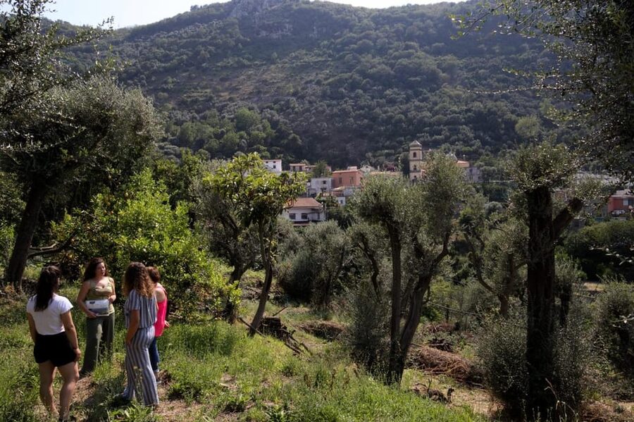 5 Wine Tastings with Typical Products in Sorrento Coast - Is $79.30 a fair price?