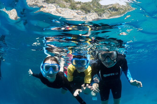 Afternoon snorkelling guided by a marine biologist in Sorrento - Group size and the feel of the outing