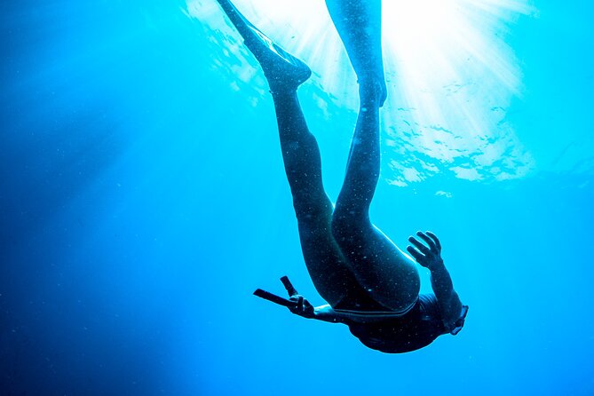Afternoon snorkelling guided by a marine biologist in Sorrento - Fabio’s role changes the snorkelling experience