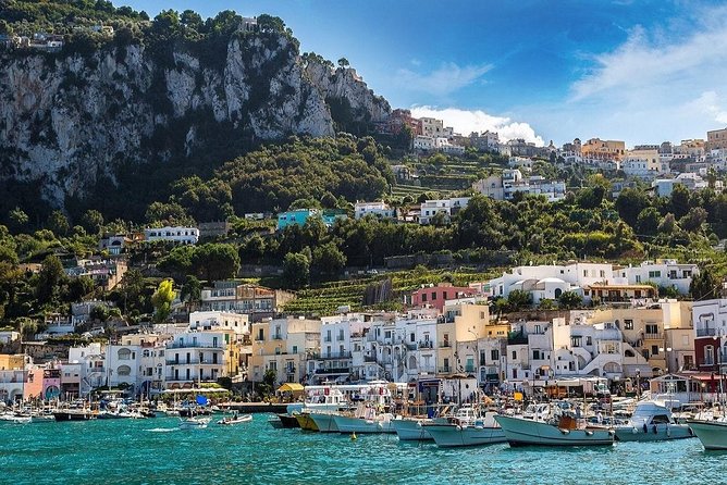 Amalfi Coast and Pompeii from Naples or Sorrento - Who should book this day