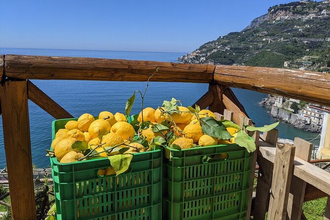 Amalfi Coast - Maiori: Path of Lemons Tour with Tasting - FAQ