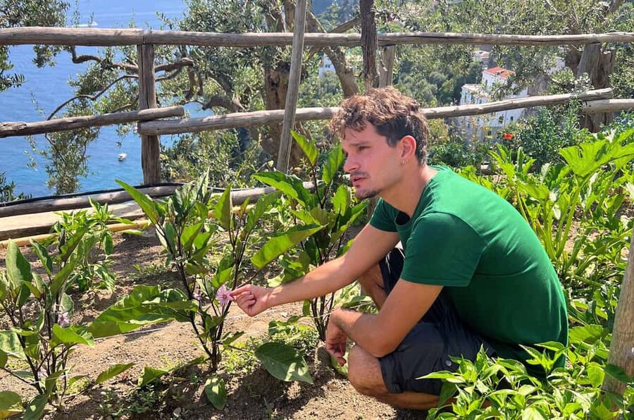 Amalfi Coast: Pizza & Mozzarella Class with Farmhouse visit - Who should book this experience