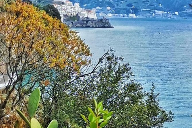 Amalfi Coast Private Tour from Sorrento: Exclusive Mercedes Van - Is $481.65 per person good value?