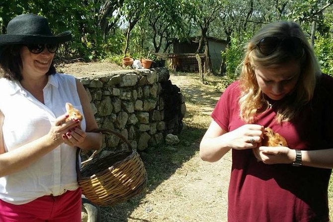 Amalfi Coast & Sorrento Cooking Class School at Farmhouse - What makes the family setting valuable