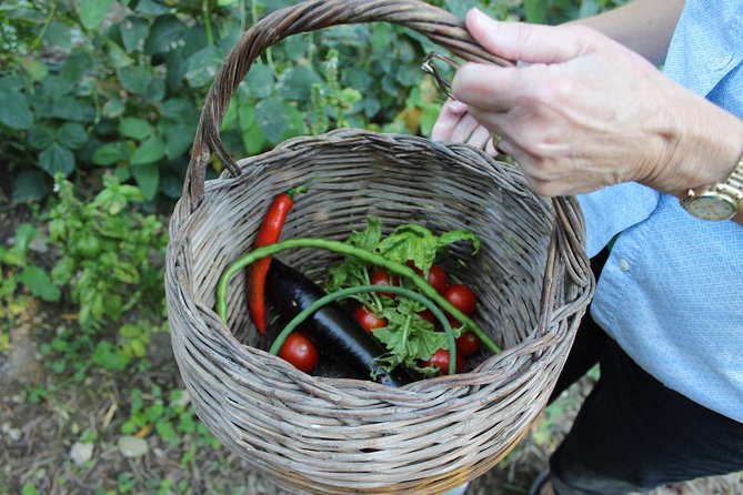 Amalfi Coast & Sorrento Cooking Class School at Farmhouse - Making a seasonal Amalfi Coast meal