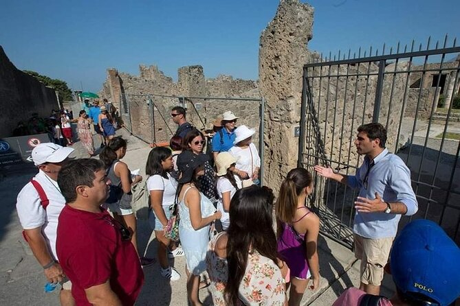 Amalfi Coast to Naples Transfer and 2-Hour Pompeii Private Tour - Why this transfer makes sense on a busy travel day
