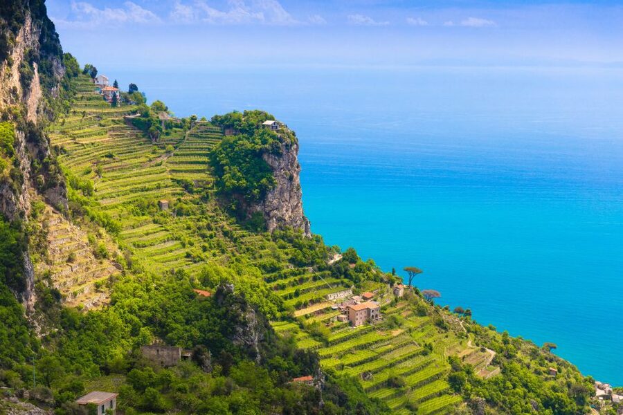 Amalfi: Cooking Class and Farmhouse Visit With Meal - My call: book it for food, views, and company