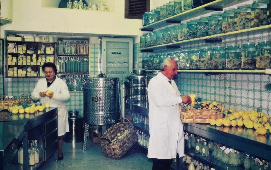 Amalfi: Limoncello Factory Visit with Instructor and Tasting - Who will enjoy this most