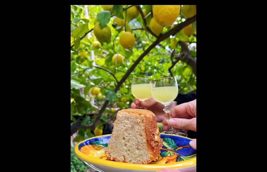 Amalfi Organic Lemon Tour & Tasting in the Historical Garden - The family story behind the farm