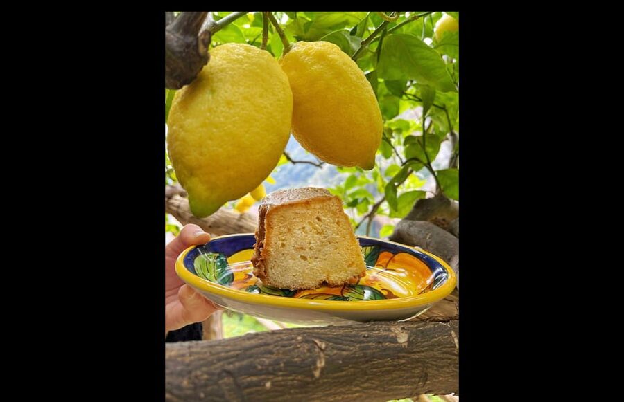 Amalfi Organic Lemon Tour & Tasting in the Historical Garden - A sea-view tasting of lemonade, cake and limoncello