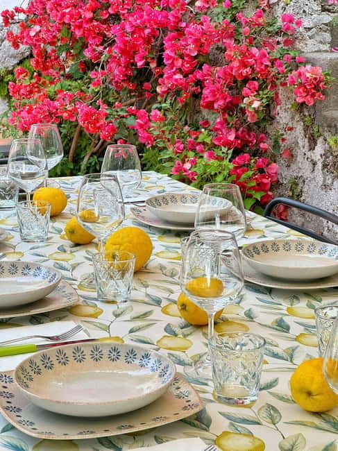 Amalfi Organic Lemon Tour & Wine Tasting + Dinner or Lunch - Is $243.56 a fair price?