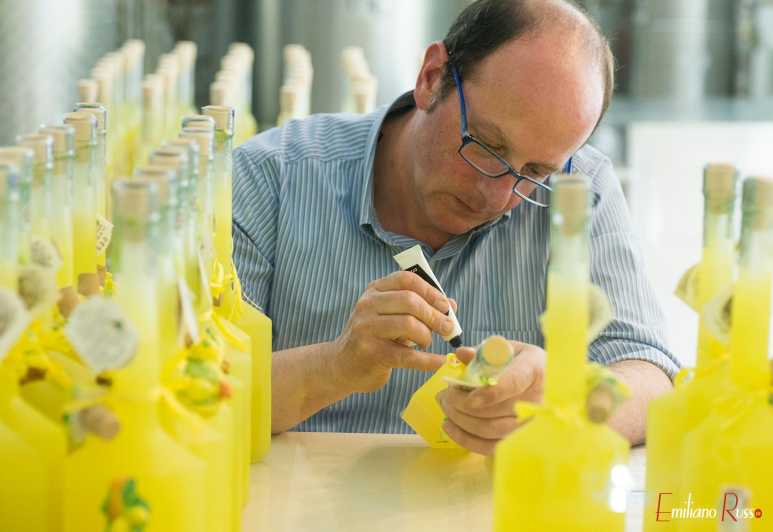 Amalfi: Vertical Lemon Farm Tour, Tastings, and Rural Museum - Learning how Amalfi lemons grow