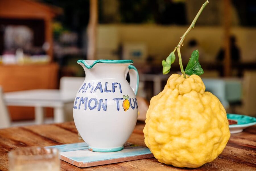 Amalfi: Vertical Lemon Farm Tour, Tastings, and Rural Museum - The tasting: lemonade, cake, and limoncello