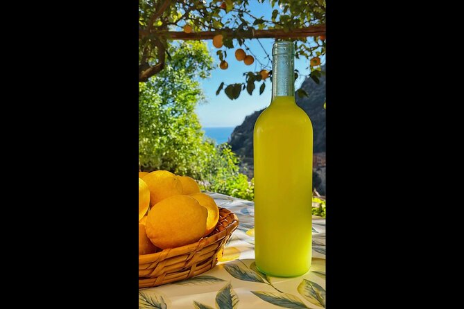 Authentic Amalfi Lemon Tour & Tasting in the Historical Garden - Learning from a fourth-generation farming family