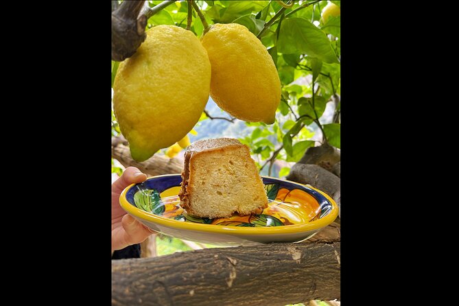 Authentic Amalfi Lemon Tour & Tasting in the Historical Garden - Lemonade, cake, and limoncello