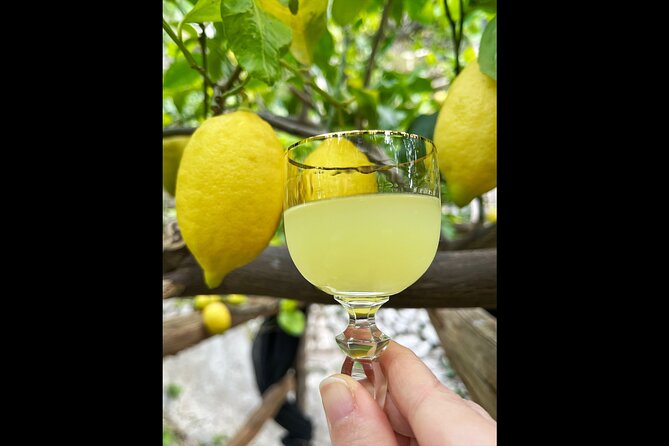 Authentic Amalfi Lemon Tour & Tasting in the Historical Garden - Who will enjoy this Amalfi lemon tour