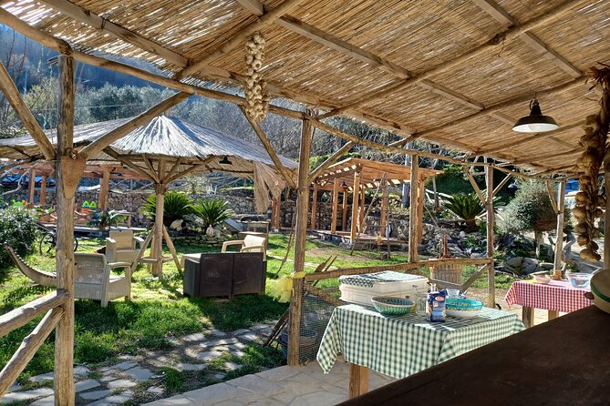 Authentic Farm Tour with Pizza, Cheese, Wine & Limoncello Tasting - A family farm above Sorrento