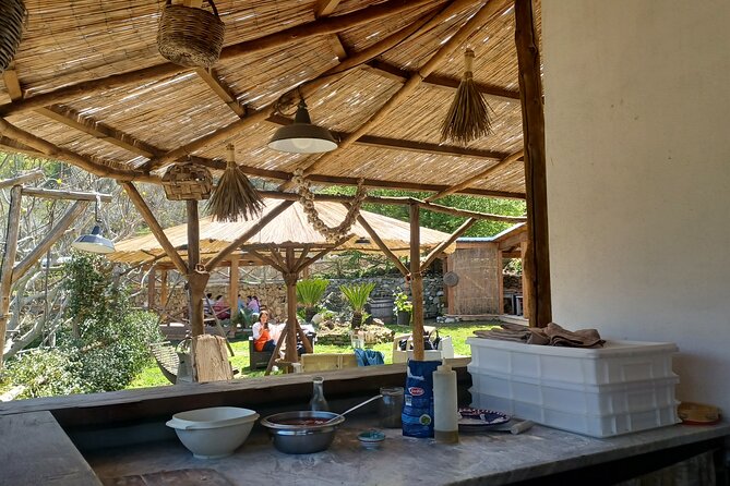 Authentic Farm Tour with Pizza, Cheese, Wine & Limoncello Tasting - A generous lunch, not just a tasting