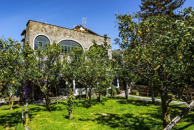 Backroads & Limoncello Experience: Sorrento E-Bike Tour - Why this ride shows you a more rural side of Sorrento