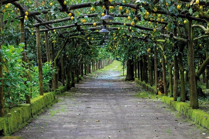 Backroads & Limoncello Experience: Sorrento E-Bike Tour - What makes the lemon farm stop worthwhile