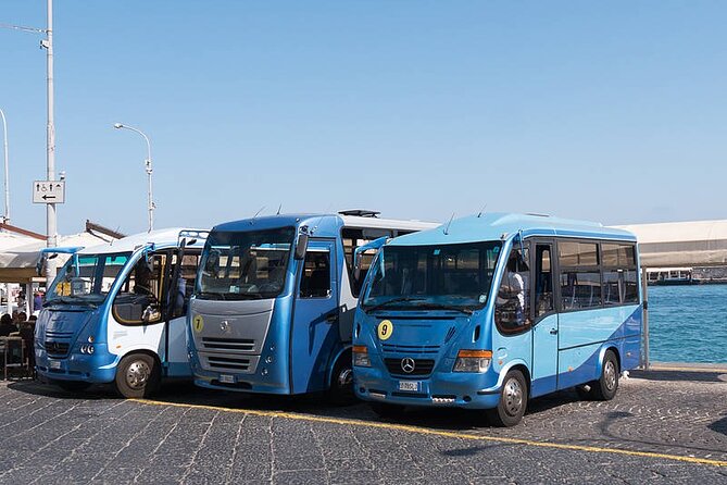 Capri & Anacapri: Guided Tour with Chairlift to Mount Solaro - What the $96.33 price really covers