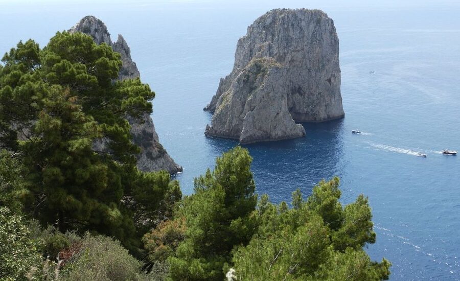 Capri and Anacapri Full-Day Tour - Crossing from Sorrento to Capri by jetfoil