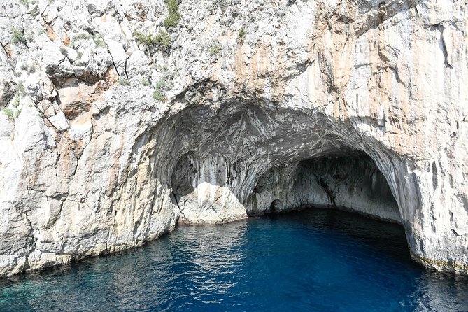 Capri and Anacapri Guided Tour with Limoncello Tasting from Capri - Booking Details and Who Gets the Best Value