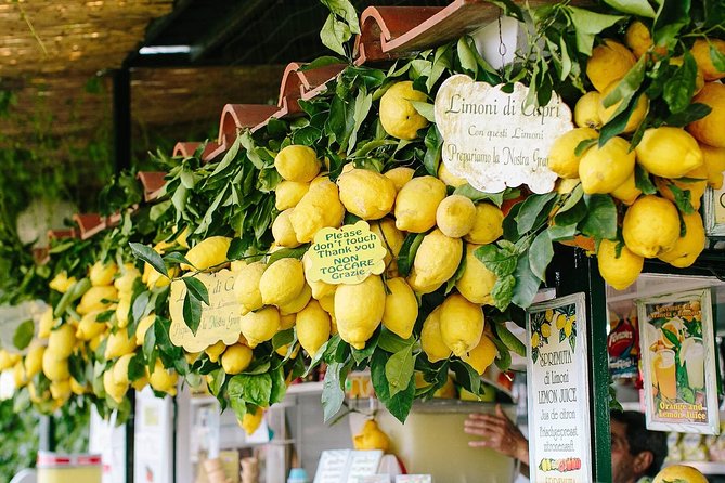 Capri Boat tour from Positano with Light Lunch, Drinks & Swim - Timing, weather, and comfort