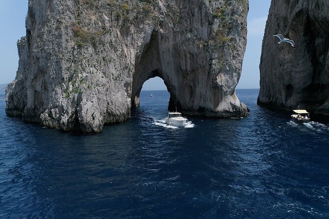 Capri Boat Tour from Sorrento - Speedboat 37ft - Bagni Regina Giovanna begins the coastal sightseeing
