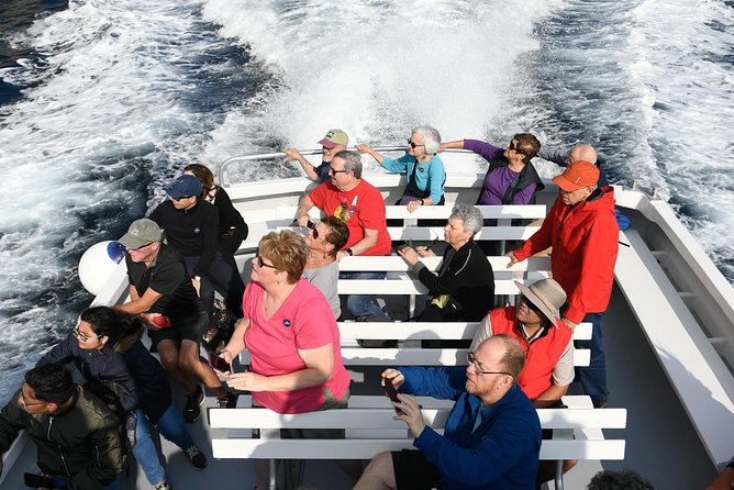 Capri Coast to Coast: Boat Tour with Optional Blue Grotto - The Natural Arch and Villa Malaparte