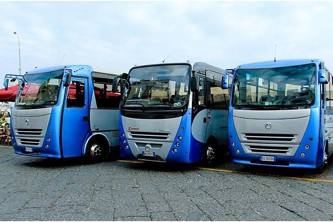 CAPRI - DIY Day Trip Package - BoatTour, BlueGrotto,Bus&Lunch - What the $131.26 price really covers