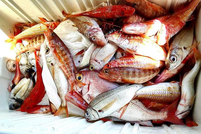 Capri Fishing Excursion with Snorkeling and Lunch from Sorrento - Your Capri time: sightseeing without rushing the whole day