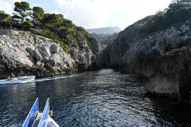 Capri One Day: Visit the Island by Sea and Land with Blue Grotto - What the guides add to a mostly independent day