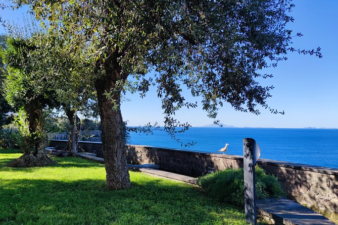Car Tour admiring Capri and visiting Positano - Nerano, Li Galli, and the optional lunch decision