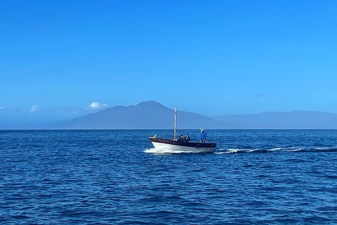 Complete Private Guided Two Hour Tour of the Coast of Capri - The famous cove and Capri’s polished side