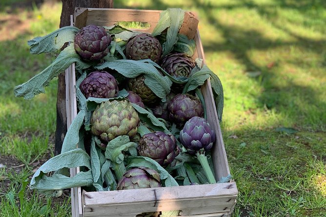 Cook and Eat in a Citrus Grove in Sorrento - Is the $168.20 Price Good Value?