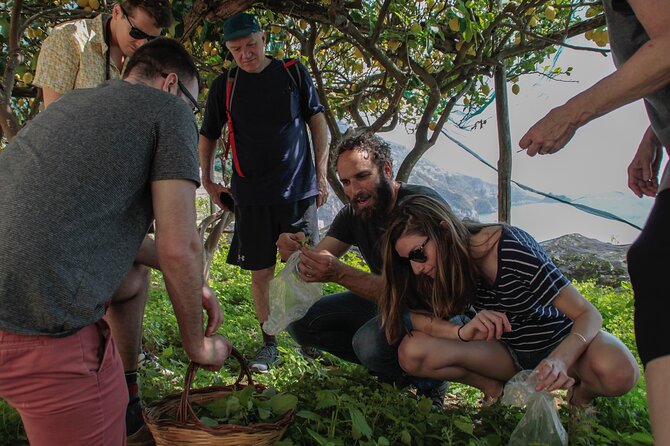 Cooking Class with garden visit - Who will enjoy it most