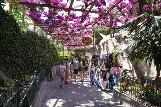 Day Trip to Positano, Amalfi & Ravello from Sorrento - Who should book this experience?
