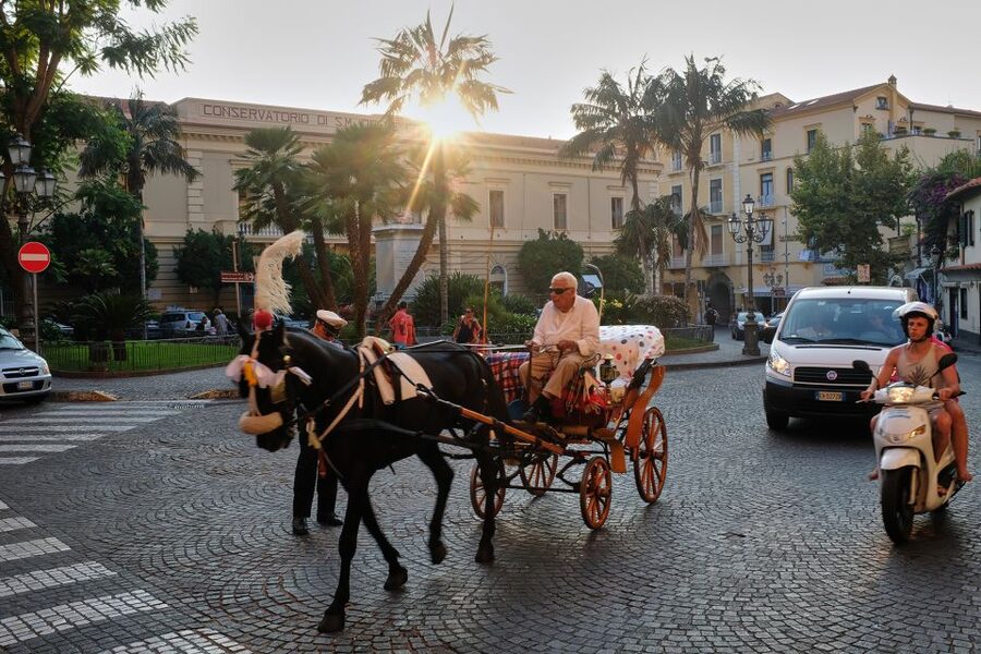 Discover Sorrento: food and walking tour - Inside an ancient lemon grove