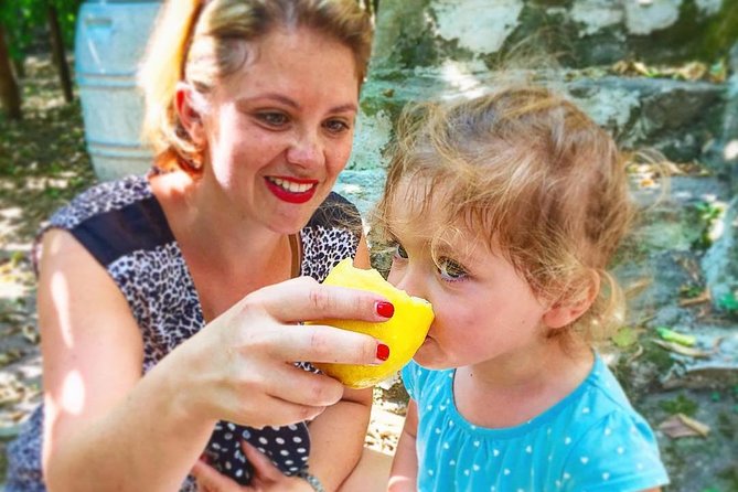Discover Sorrento with food tasting and walking Tour - Walking through Sorrento’s historic center