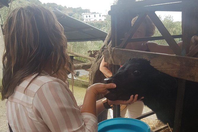 E-Bike Food and Wine Tour in the Sorrento Peninsula - Schiazzano and the Il Turuziello farm