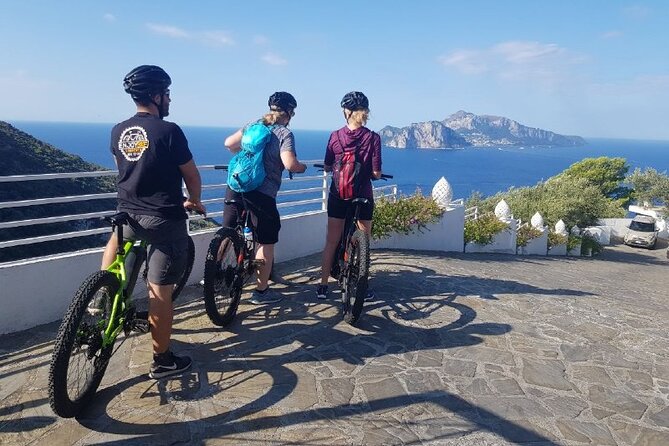 E-Bike Tour in the Sorrento Peninsula and Visit to Acetaia - Who should book this e-bike tour?