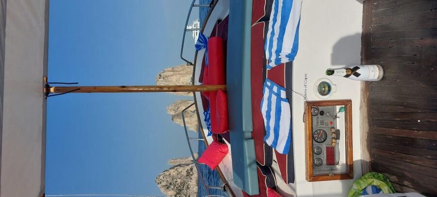 Esperienza Privata a Capri in Barca con Gozzo Classico 3H - Starting at Piazza Angelo Ferraro
