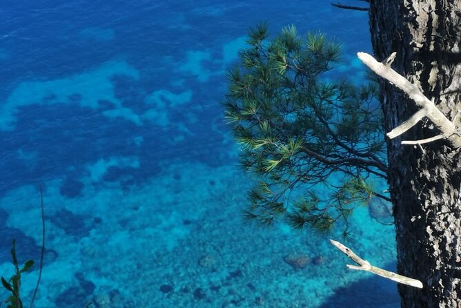 Exclusive Private Boat Tour to capri & Amalfi coast from Sorrento - Who will get the most from this tour