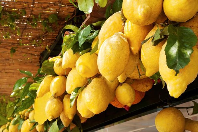 Farm-to-Table Experience: Olive Oil, Garden Tour & Nonna’s Lunch - Lemons, lemonade, and limoncello