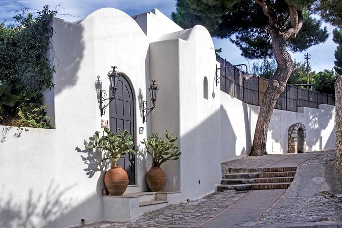From Amalfi Coast: Capri & Anacapri guided tour by sea & by land - Key points at a glance